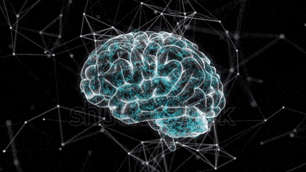 THEORY OF COMPUTATION