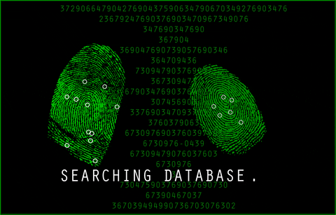 Database Management System